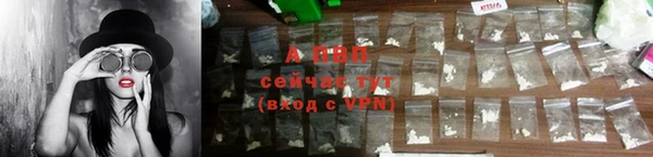 сатива Наволоки