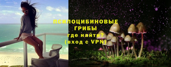 сатива Наволоки