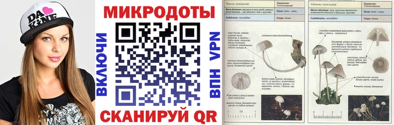 hydra ссылка  Нелидово  Галлюциногенные грибы Magic Shrooms 